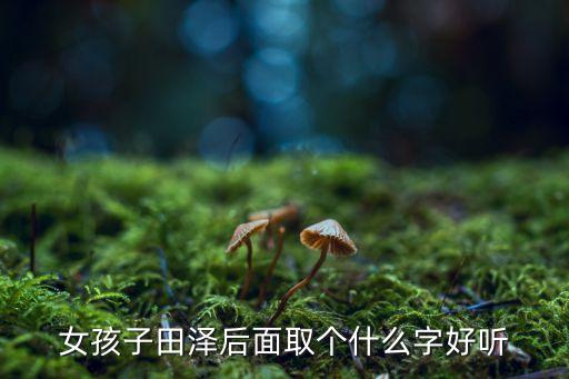 女孩子田澤后面取個什么字好聽