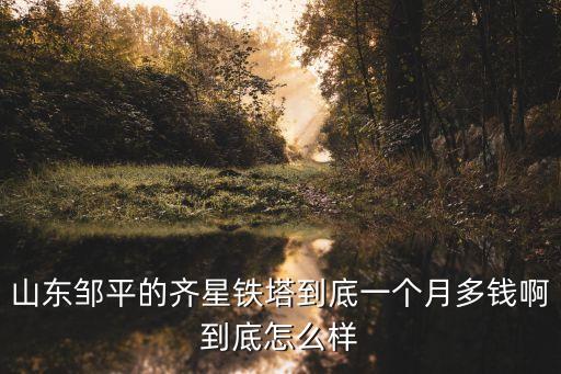 山東鄒平的齊星鐵塔到底一個(gè)月多錢啊到底怎么樣