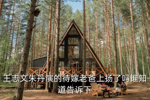 王志文朱丹演的待嫁老爸上揚(yáng)了嗎誰(shuí)知道告訴下
