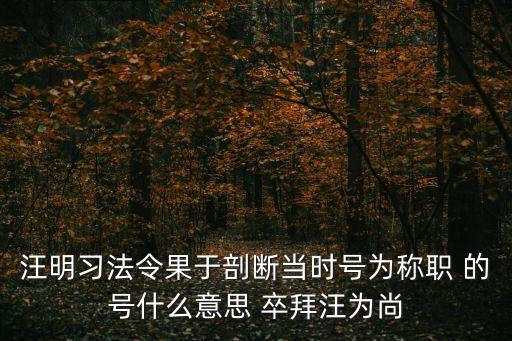汪明，汪明是現(xiàn)任國土資源部副部長嗎