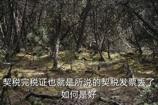 契稅證，契稅證是什么辦要什么文件