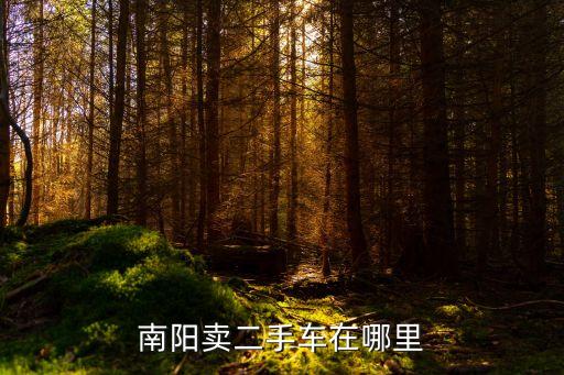 南陽二手車，南陽的二手車交易市場在那里