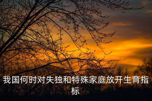 我國何時(shí)對(duì)失獨(dú)和特殊家庭放開生育指標(biāo)