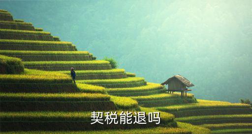契稅可以退嗎，契稅能退嗎