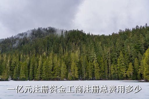 新注冊(cè)1億公司，一億元注冊(cè)資金工商注冊(cè)總費(fèi)用多少