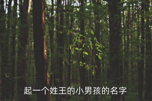 王子旋，王子璇用日文輸入怎么寫(xiě)