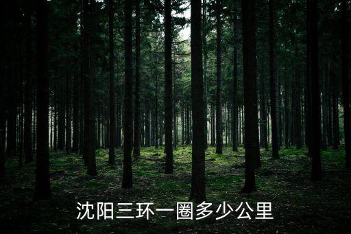 沈陽三環(huán)，沈陽三環(huán)一圈多少公里