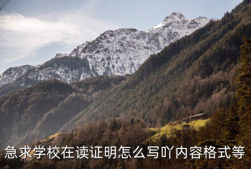 在讀證明，在讀證明指的是什么呢