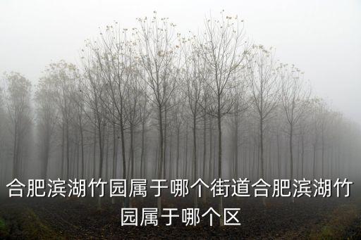 合肥濱湖竹園屬于哪個街道合肥濱湖竹園屬于哪個區(qū)
