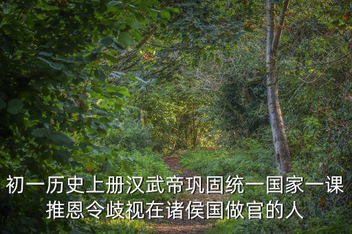 初一歷史上冊漢武帝鞏固統(tǒng)一國家一課推恩令歧視在諸侯國做官的人