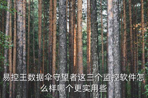 內(nèi)貿(mào)流通統(tǒng)計監(jiān)測平臺，Norse IPViking是什么網(wǎng)站
