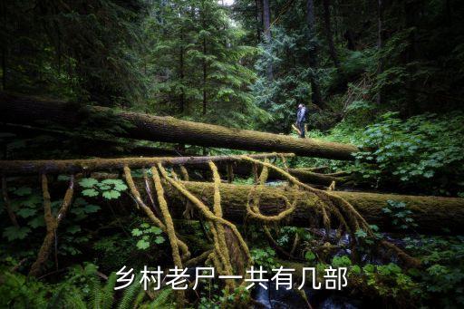 鄉(xiāng)村老衛(wèi)，鄉(xiāng)村老尸什么劇情昂 和比泰國的邪絳口味重么