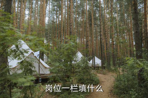 崗位一欄填什么