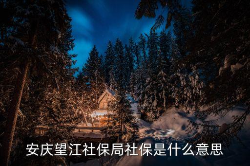 望江縣人力資源和社會(huì)保障局，安慶望江社保局社保是什么意思