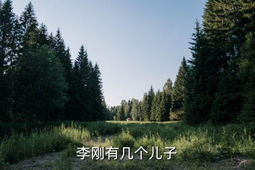 李剛有幾個(gè)兒子