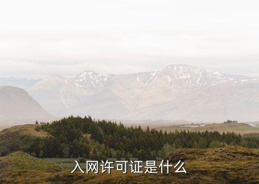 入網(wǎng)許可證，入網(wǎng)許可證是什么