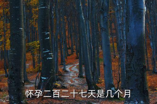懷孕二百二十七天是幾個(gè)月