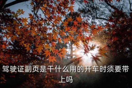 駕駛證副頁是干什么用的開車時須要帶上嗎