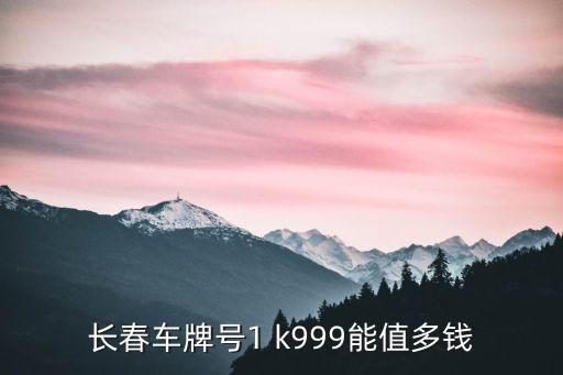 長春車牌，誰知道長春車牌號是幾打頭的