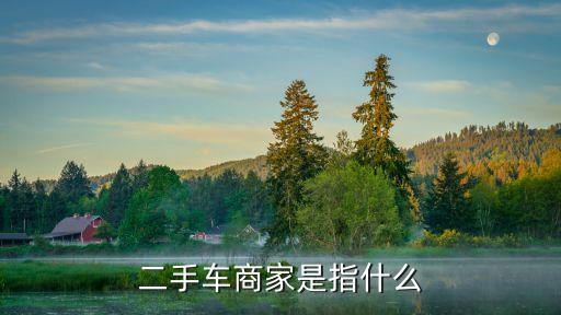 二手商家，二手車商家是指什么