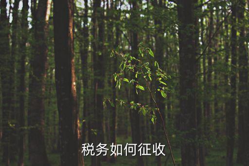 稅務(wù)如何征收