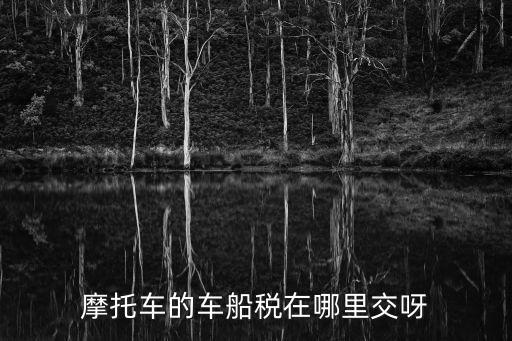 摩托車的車船稅在哪里交呀