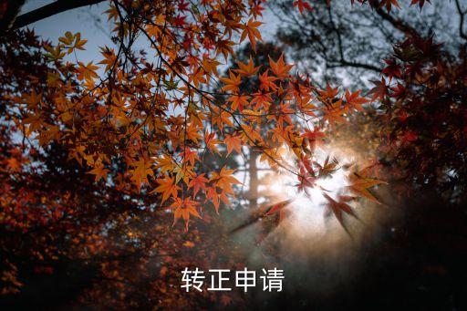轉正申請