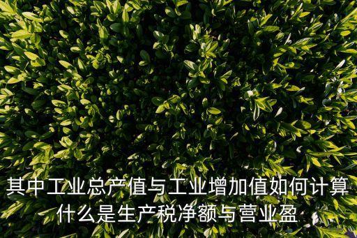 其中工業(yè)總產(chǎn)值與工業(yè)增加值如何計(jì)算什么是生產(chǎn)稅凈額與營(yíng)業(yè)盈