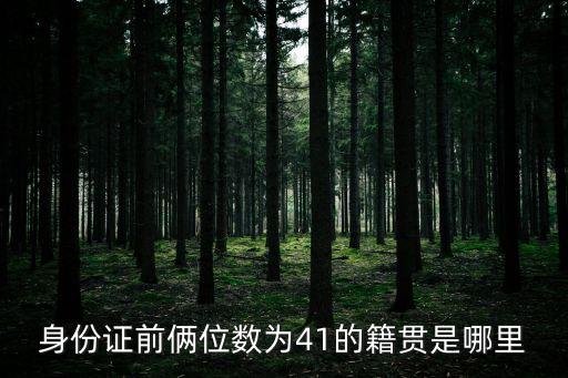 身份證前倆位數(shù)為41的籍貫是哪里