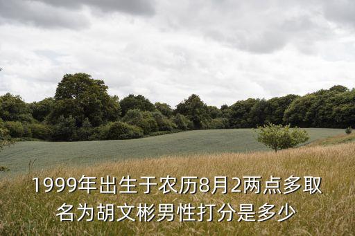 1999年出生于農歷8月2兩點多取名為胡文彬男性打分是多少
