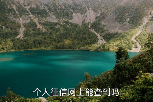 個(gè)人征信網(wǎng)上能查到嗎