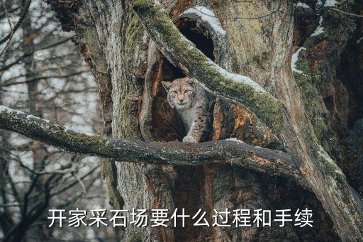 開家采石場要什么過程和手續(xù)