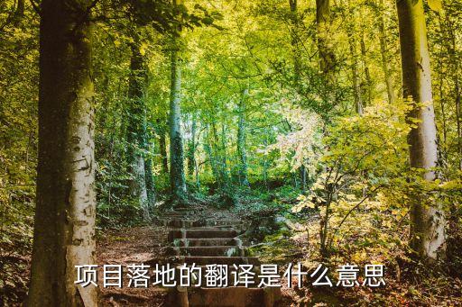 項目落地什么意思，重大項目落地什么意思