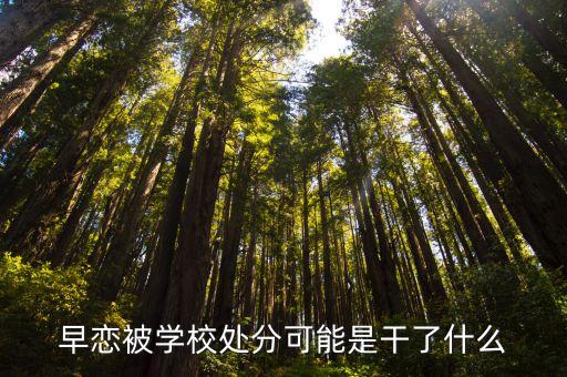 早戀被學(xué)校處分可能是干了什么