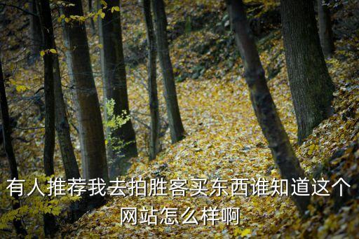 有人推薦我去拍勝客買東西誰知道這個網(wǎng)站怎么樣啊