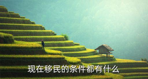 現(xiàn)在移民的條件都有什么