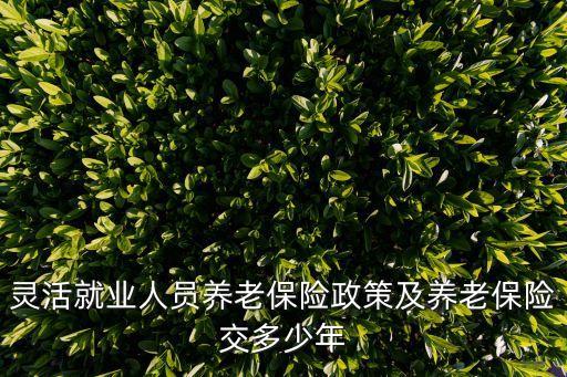 靈活就業(yè)人員養(yǎng)老保險政策及養(yǎng)老保險交多少年