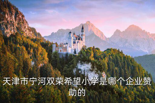 天津市寧河雙榮希望小學是哪個企業(yè)贊助的