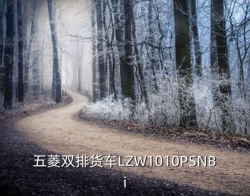 五菱雙排貨車LZW1010PSNBi