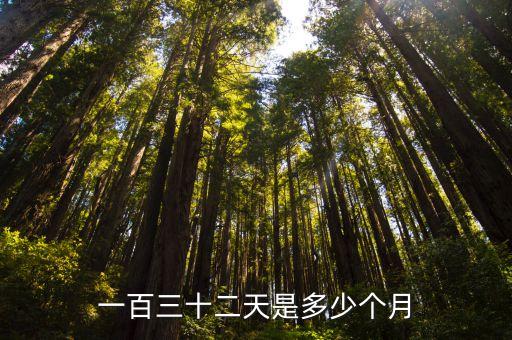 一百三十二天是多少個月