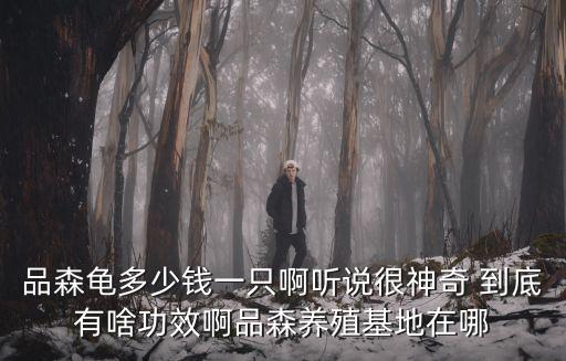 品森龜多少錢一只啊聽(tīng)說(shuō)很神奇 到底有啥功效啊品森養(yǎng)殖基地在哪