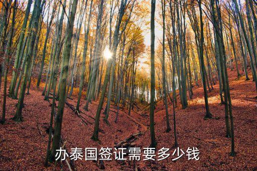 辦泰國簽證需要多少錢