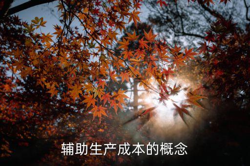 輔助生產(chǎn)成本的概念