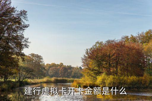 虛擬手機(jī)卡，現(xiàn)在都有什么虛擬手機(jī)卡都支持什么網(wǎng)絡(luò)的
