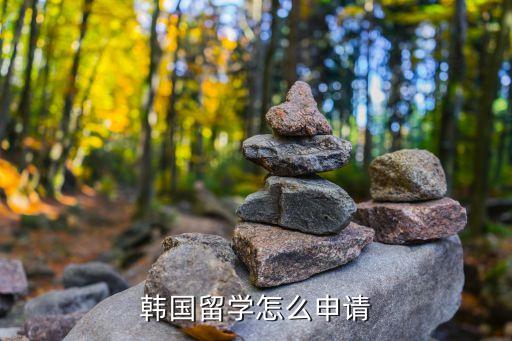 如何申請韓國留學，韓國留學怎么申請
