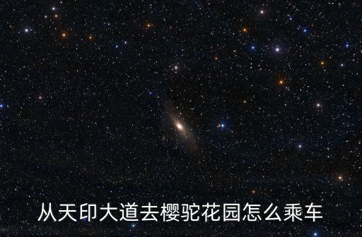 櫻駝花園，南京櫻駝花園怎么到最近的地鐵站