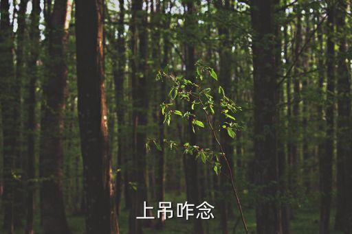 上吊，上吊是什么意思