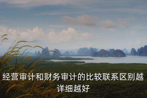 經(jīng)營(yíng)審計(jì)，什么是經(jīng)營(yíng)審計(jì)