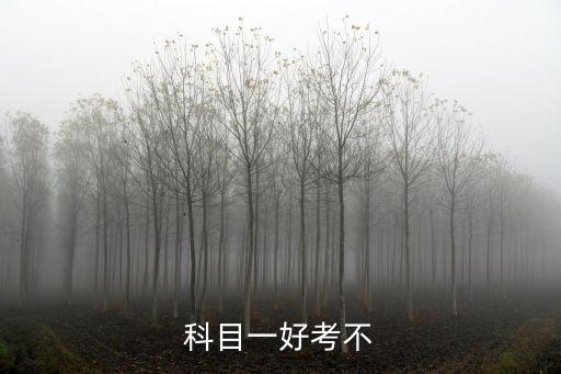 科目一好考不