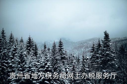 貴州網(wǎng)上辦事大廳，貴卅省地方稅務(wù)局網(wǎng)上辦稅服務(wù)廳